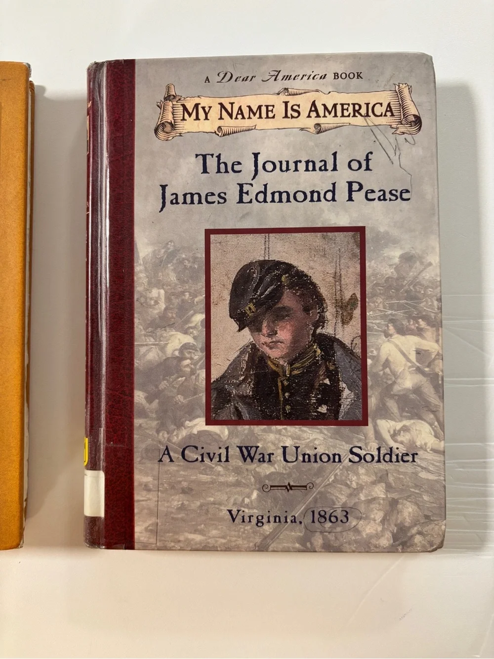 Dear America Book Series Young Adult Reading Bundle of 2 Books
